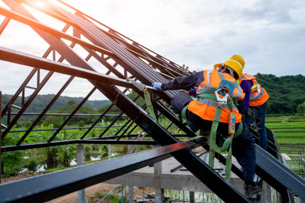 Roof Waterproofing Services in Emmonak, AK