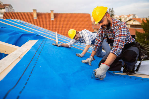 Best Roof Gutter Cleaning  in Emmon, AK